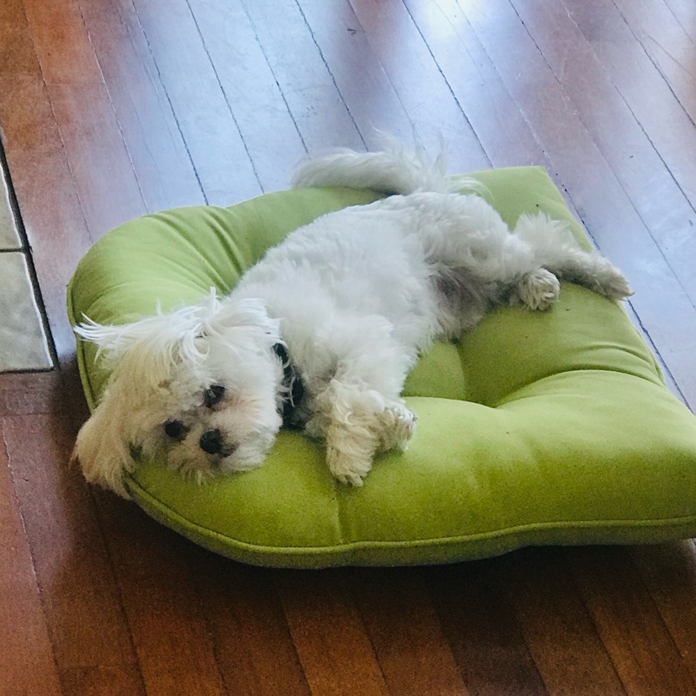 Meet your Posher, Jennifer